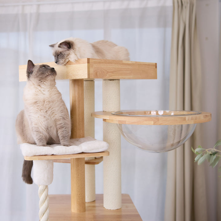 Scandi Cat Scratch Tree