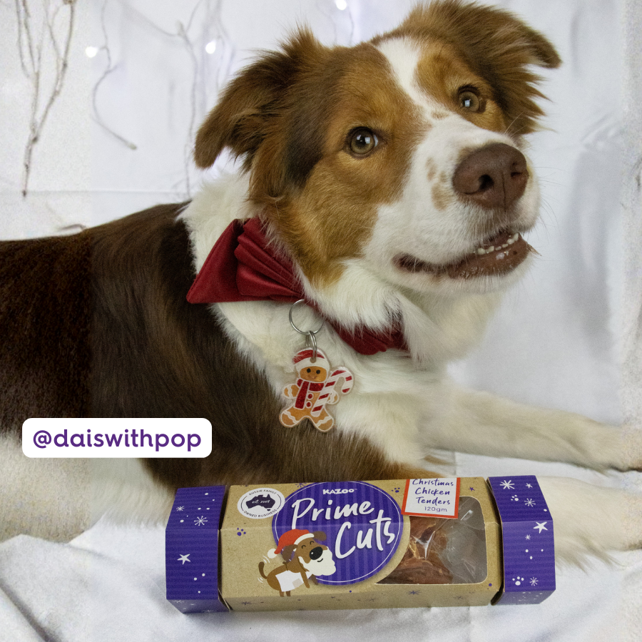 Chicken Christmas Cracker