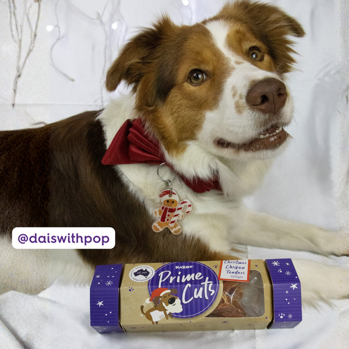 Chicken Christmas Cracker