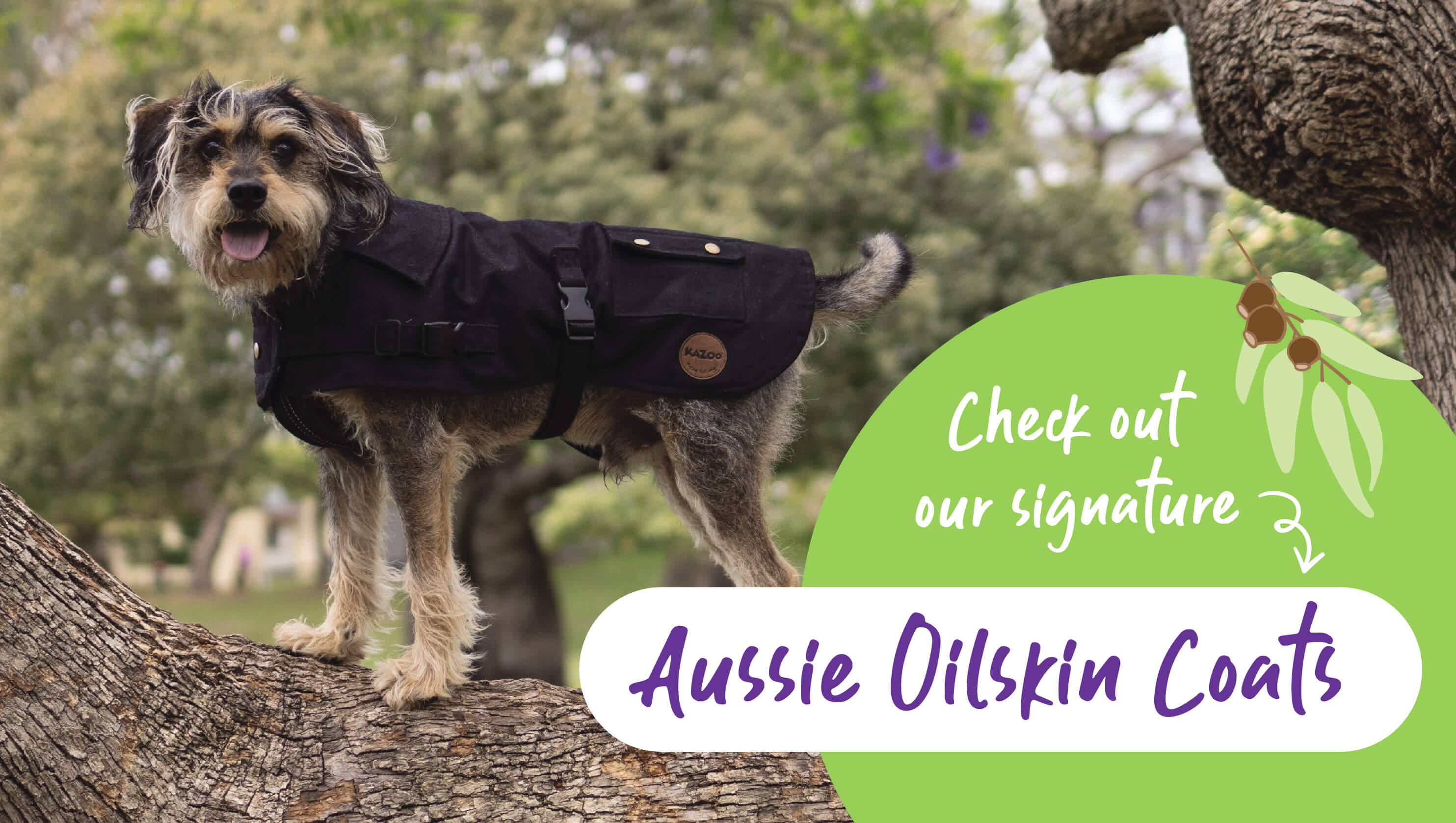 Dog Clothing Kazoo Pet Co