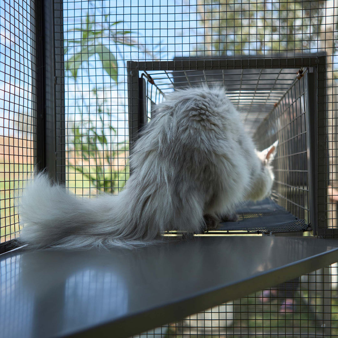 Outdoor Cat House Enclosure - Full Set