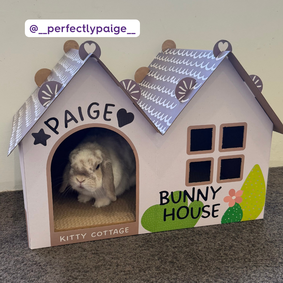 Cat Cottage Cardboard House