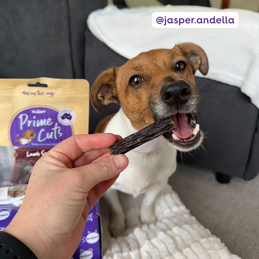 Aussie Lamb Sausage Dog Treats