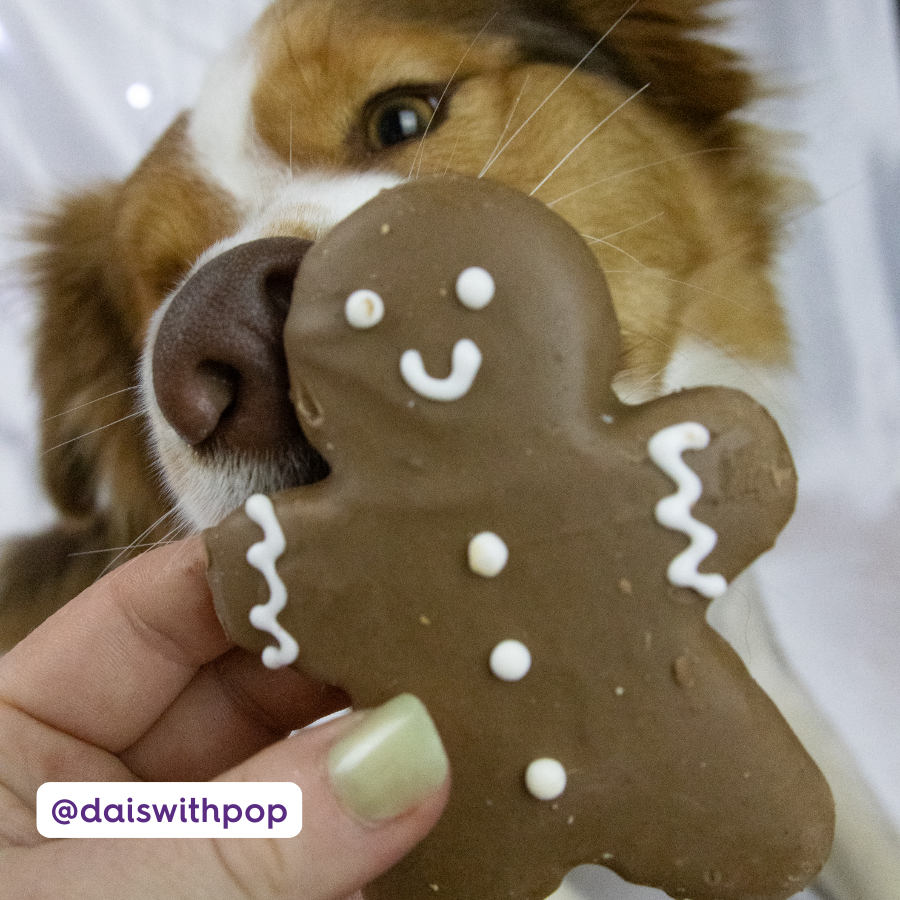 Gingerbread Men - 2 Pack