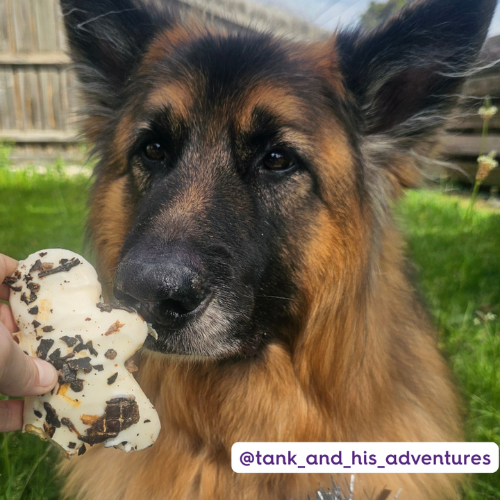 Gingerbread Men - 2 Pack