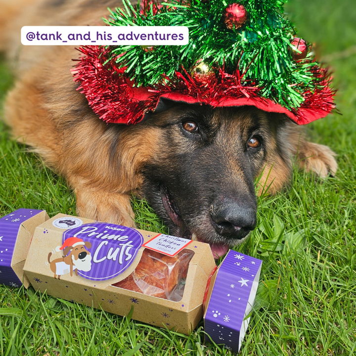 Chicken Christmas Cracker