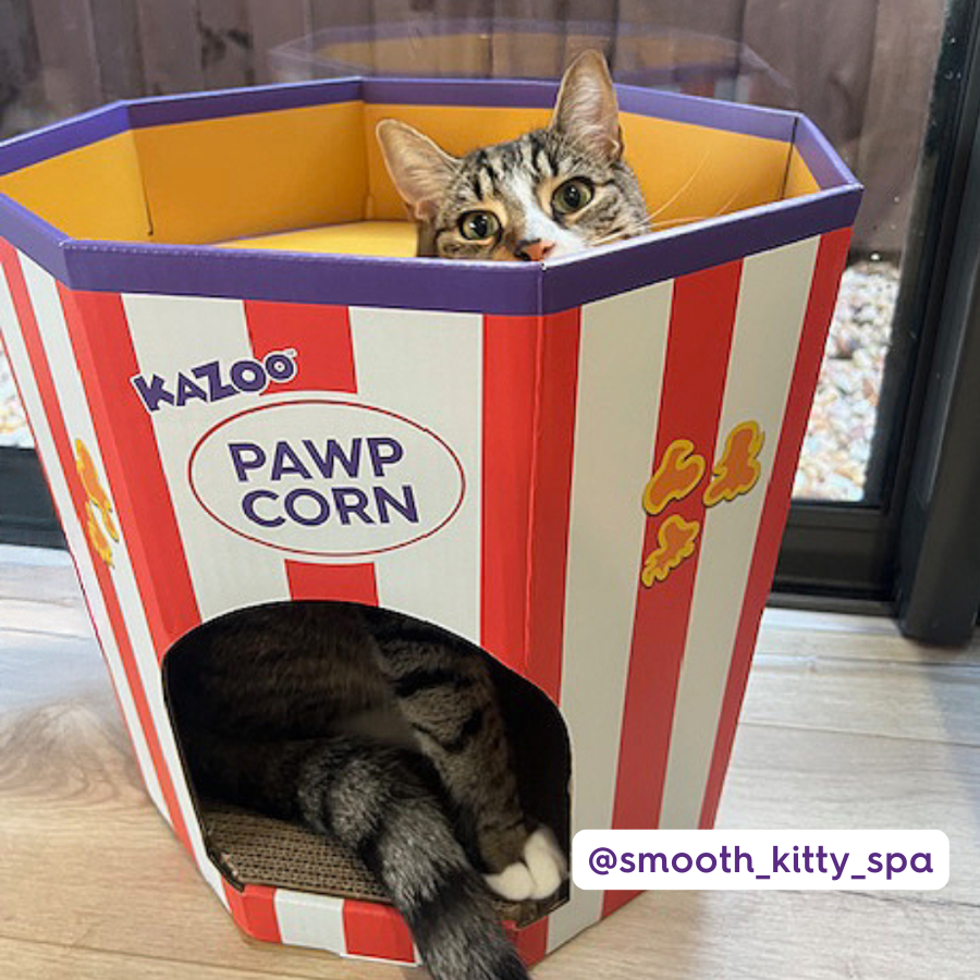 Kitty Popcorn Cardboard House