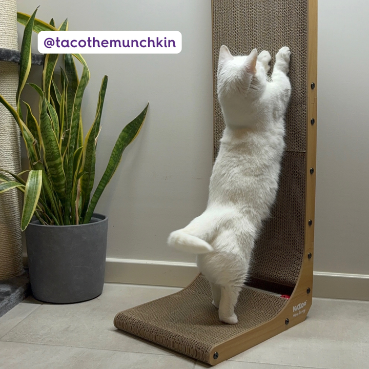 Wall & Ball Vertical Cat Scratch Pad