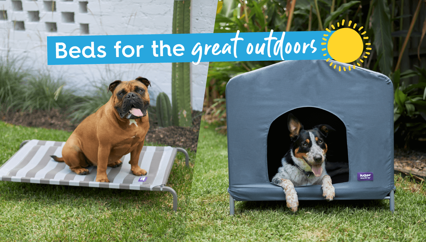 Outdoor dog supply clearance black friday