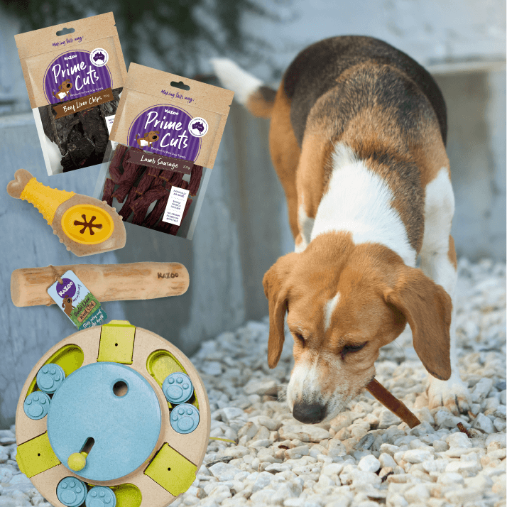 Brainy Barker Dog Enrichment Bundle