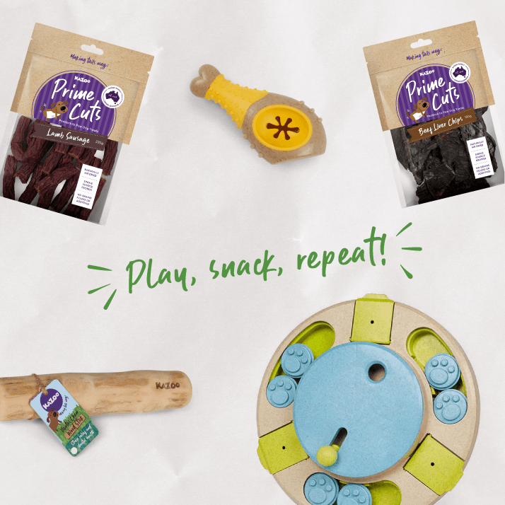 Brainy Barker Dog Enrichment Bundle