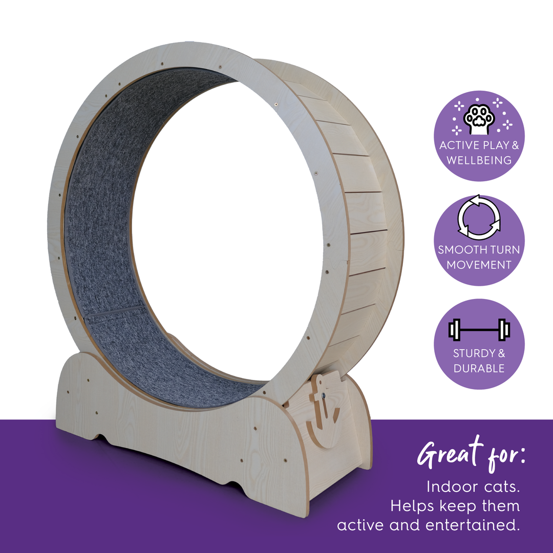 Cat Workout Wheel