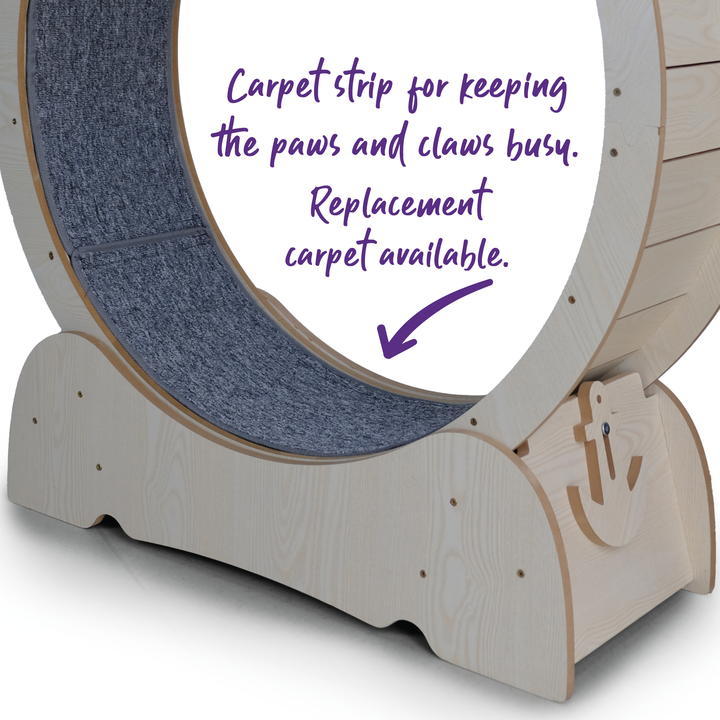 Cat Workout Wheel