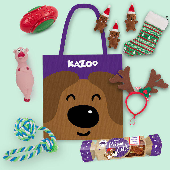 Christmas Dog Gift Bag