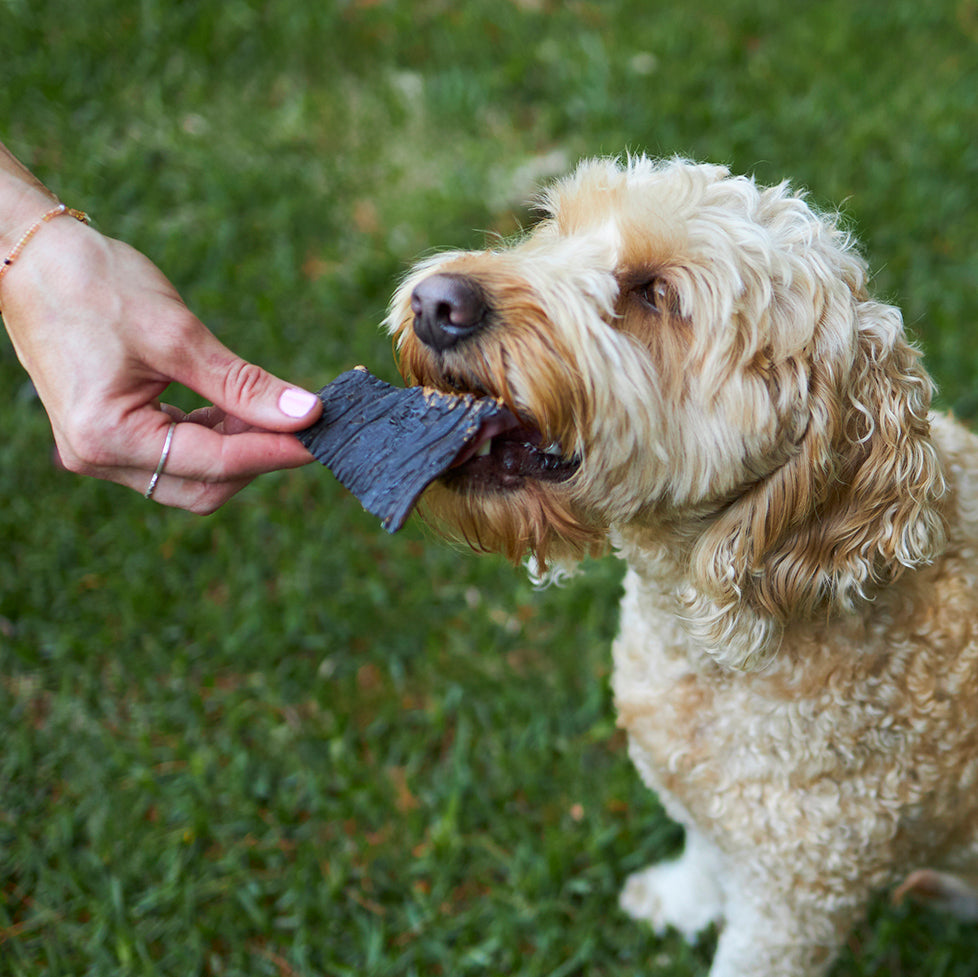 Aussie Kangaroo Liver Chips Dog Treat