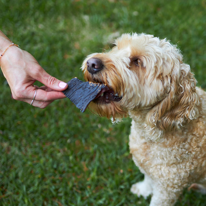 Aussie Kangaroo Liver Chips Dog Treat