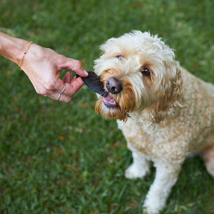 Aussie Beef Liver Chips Dog Treats