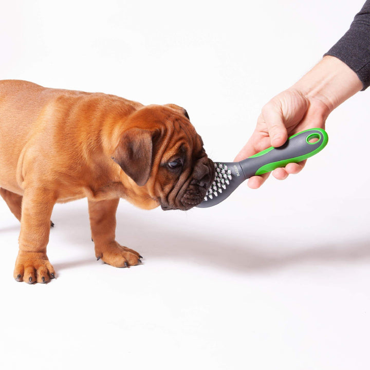 Puppy Brush