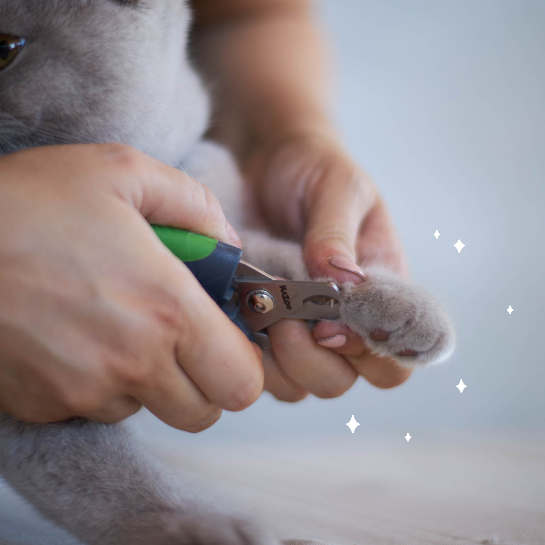 Dog Nail Clippers Scissors Nail Trimmers Clippers Kazoo Pet Co