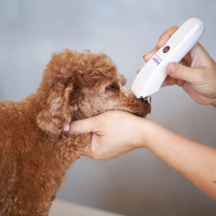 Micro Cordless Face & Feet Dog Trimmer