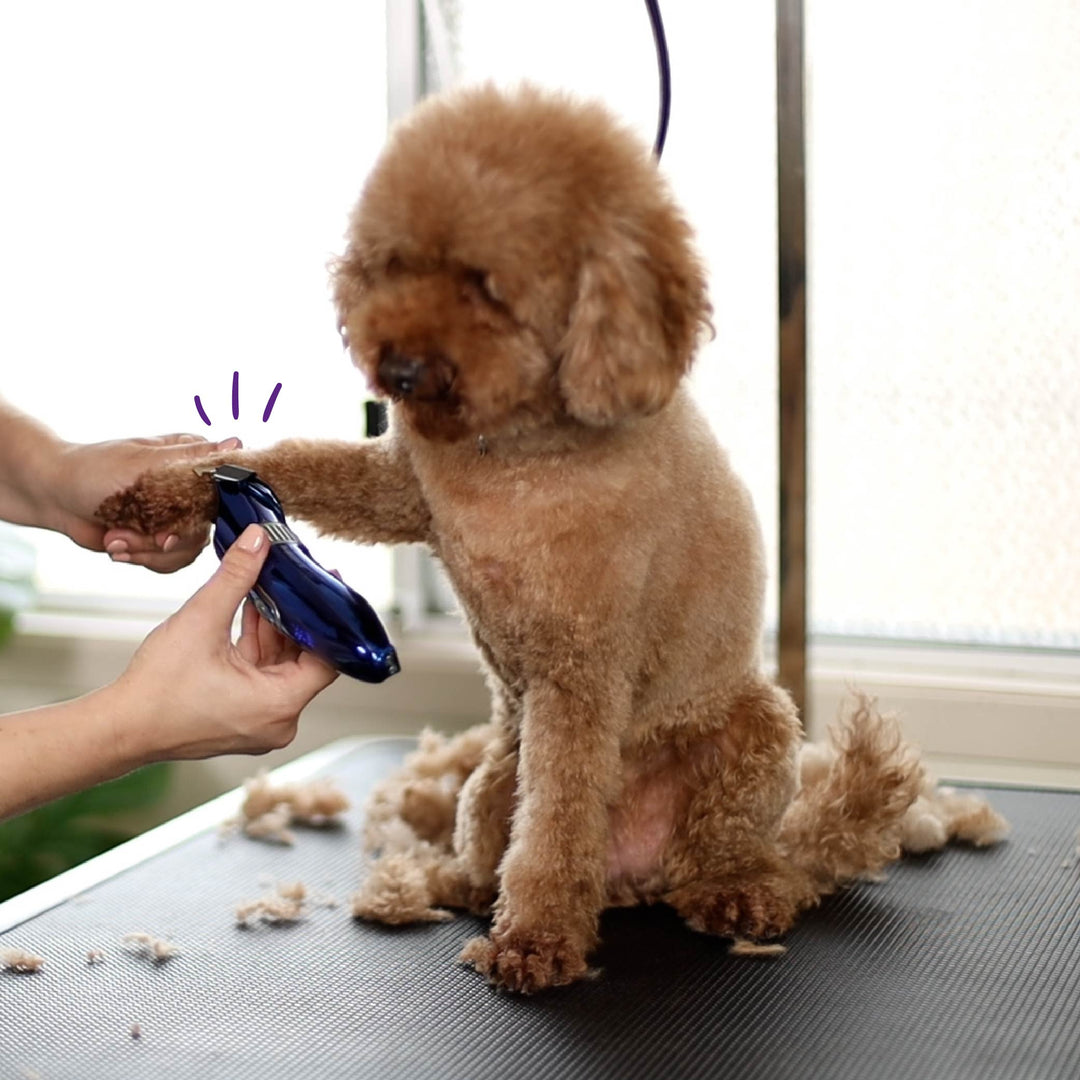 Dog Clipe Deluxe Waterproof Dog Clipper – Kazoo Pet Co