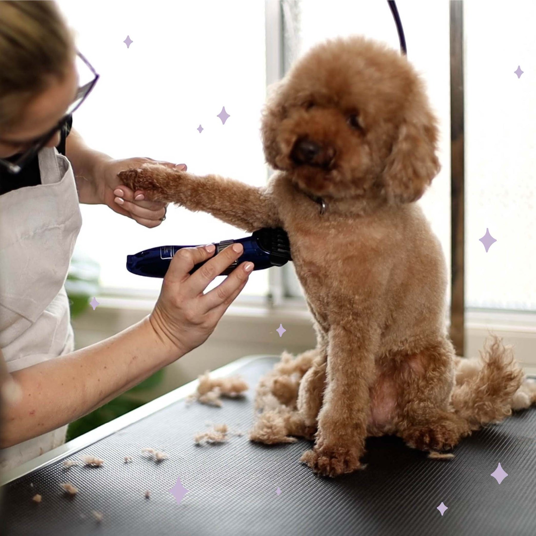 Deluxe Waterproof Dog Clipper Kazoo Pet Co