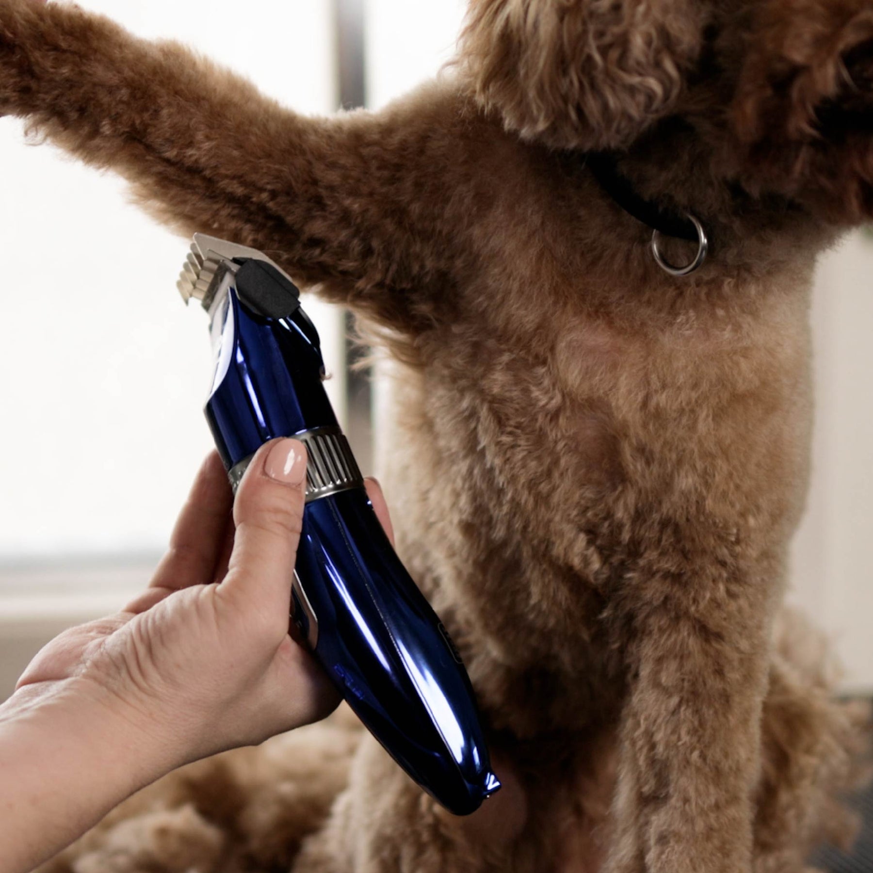 Deluxe Waterproof Dog Clipper Kazoo Pet Co