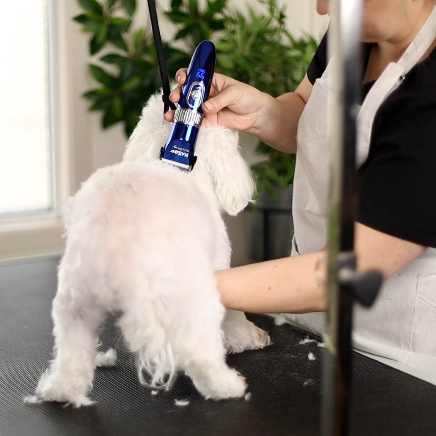 Deluxe Waterproof Dog Clipper Kazoo Pet Co