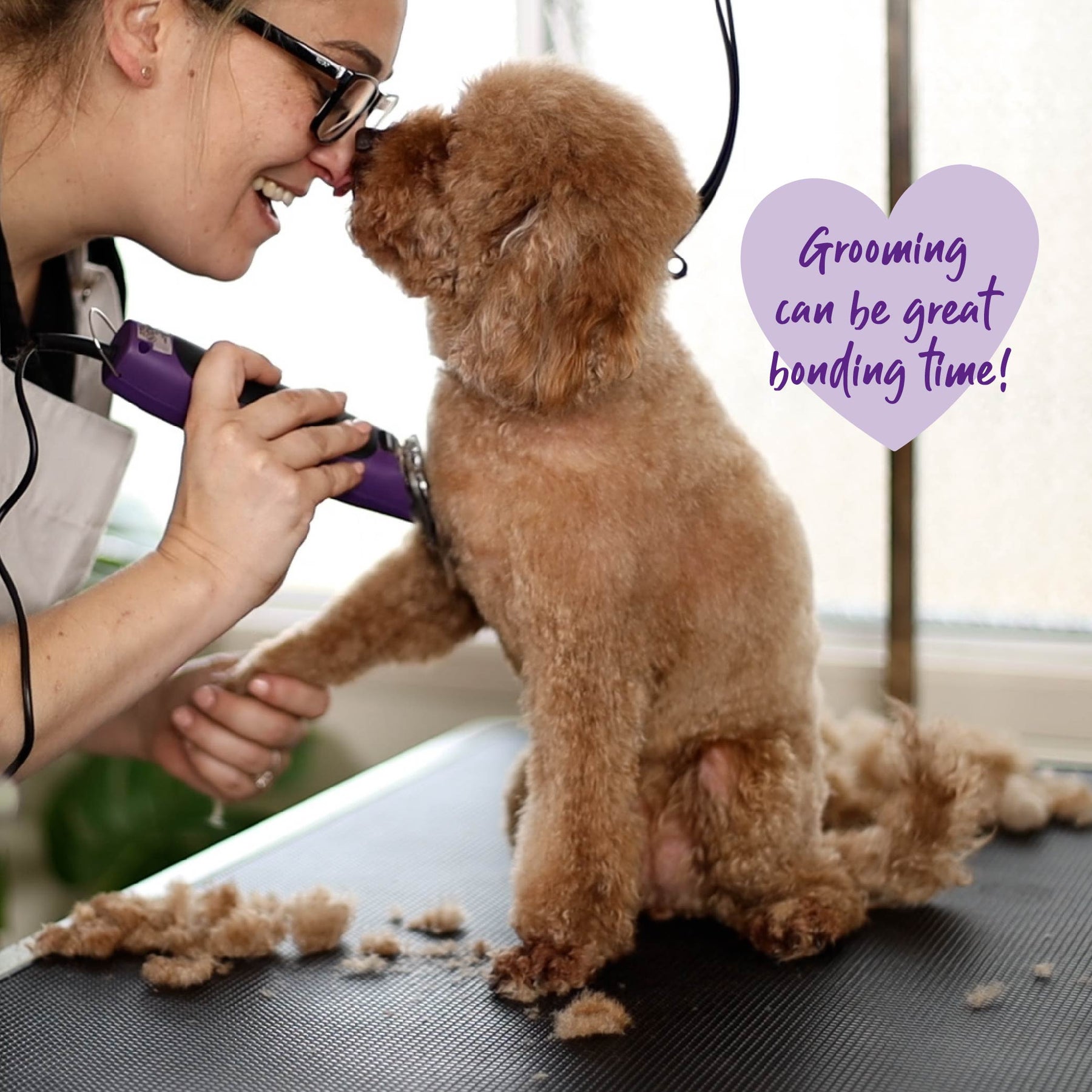 Pro Plus Brushless Dog Clipper Kazoo Pet Co