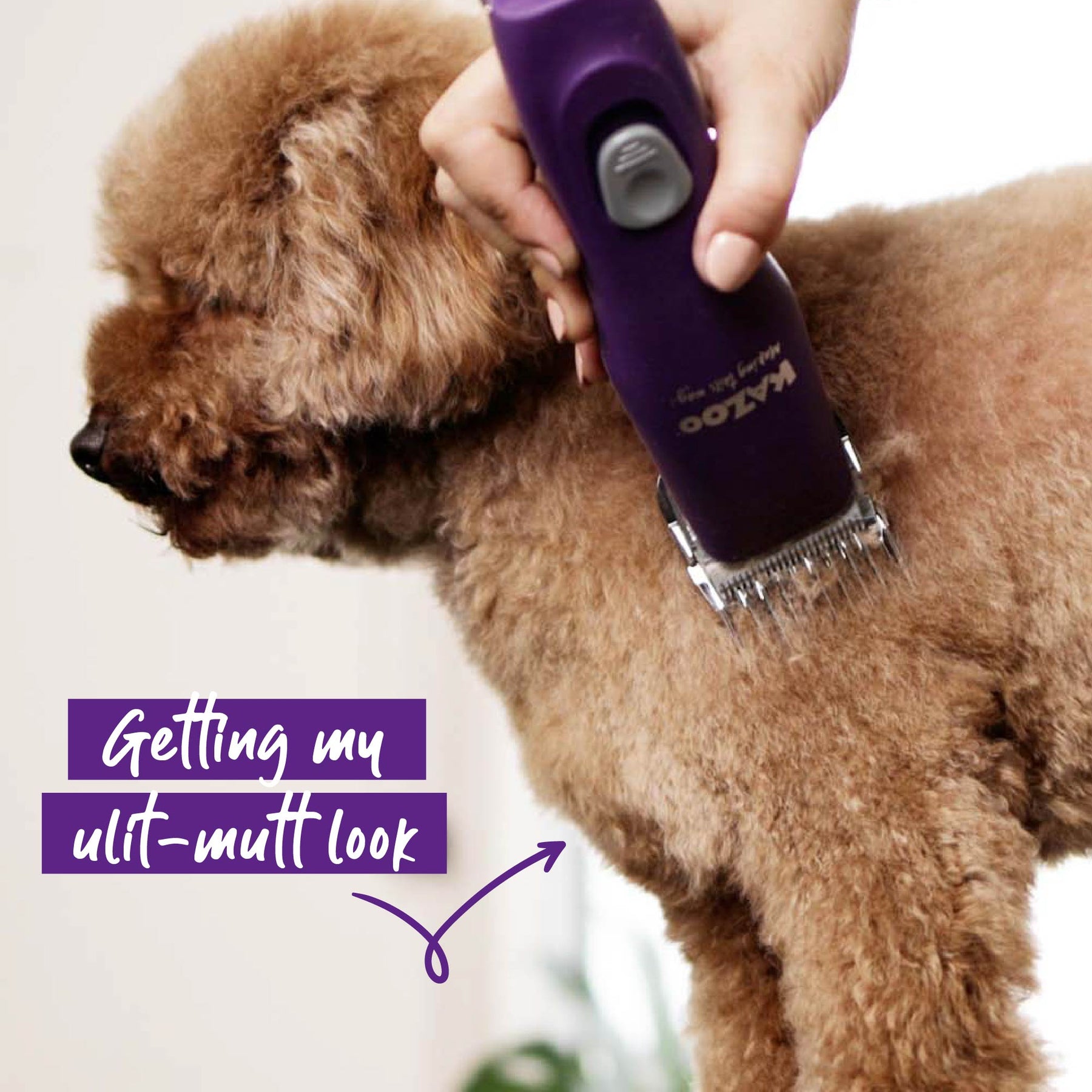 Pro Plus Brushless Dog Clipper Kazoo Pet Co