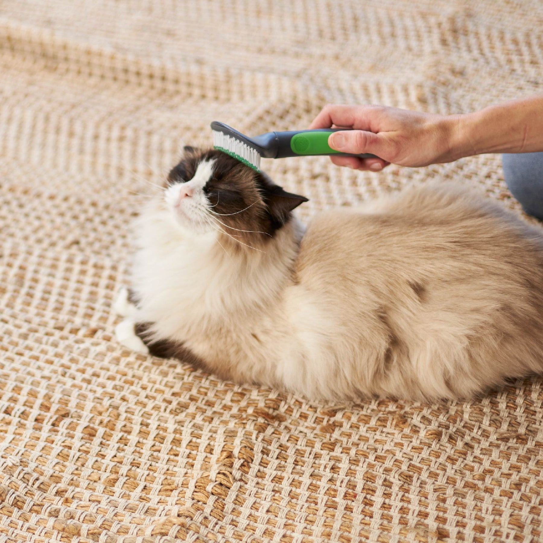 Best cat fur shop brush