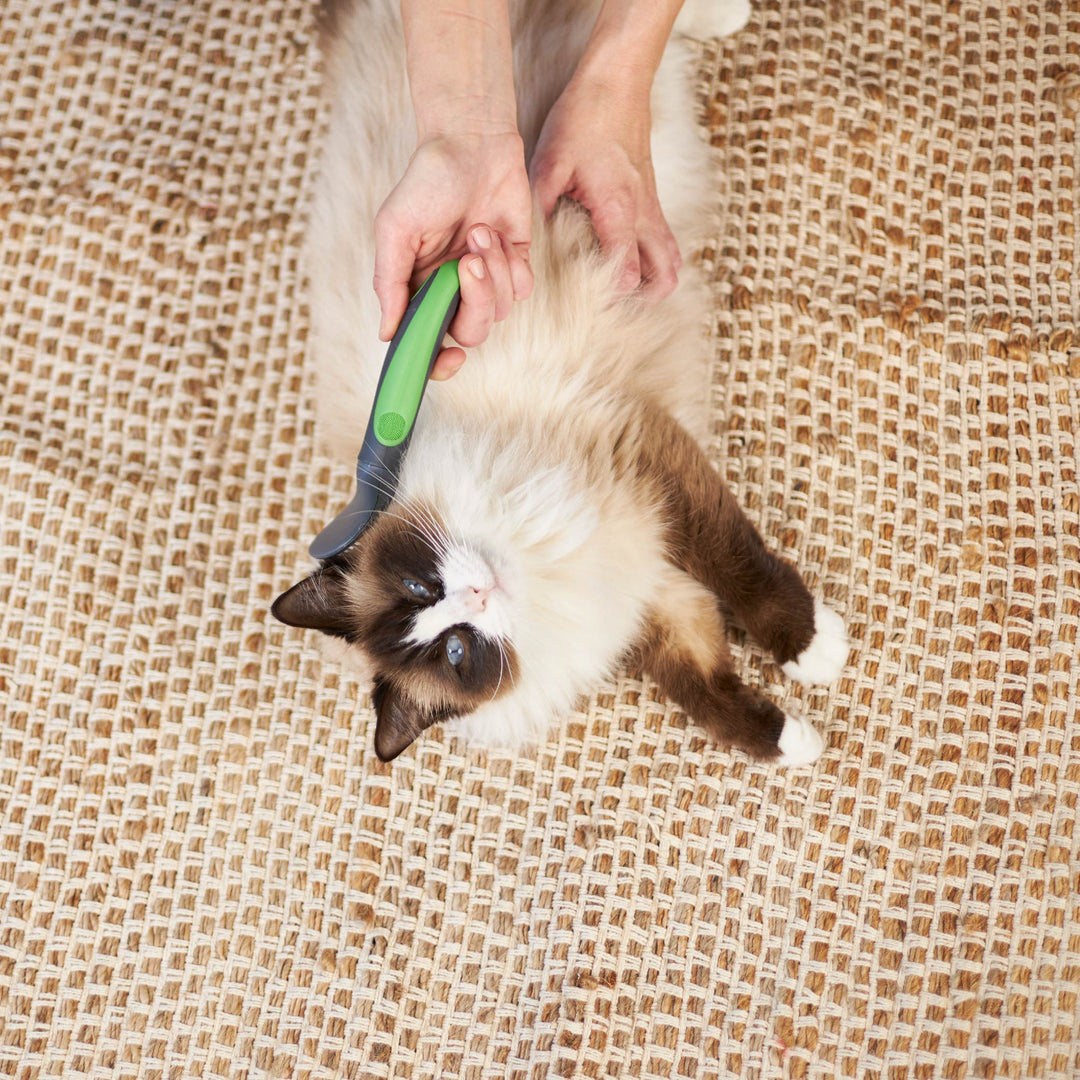 Cat Slicker Brush