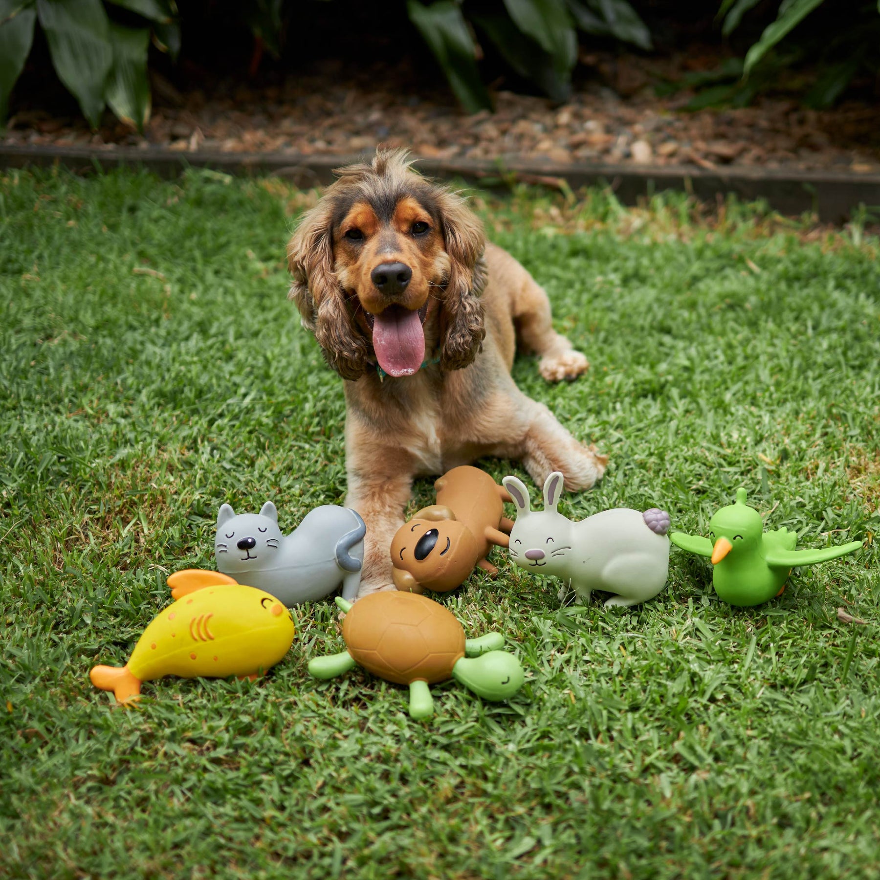 Dog toy hot sale bird
