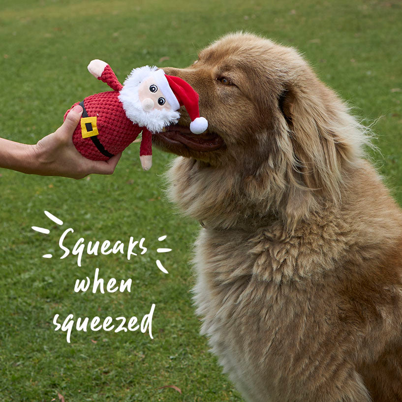Squeaky Santa Dog Toy