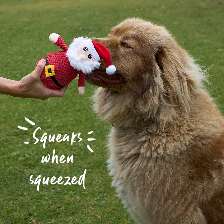 Squeaky Santa Dog Toy