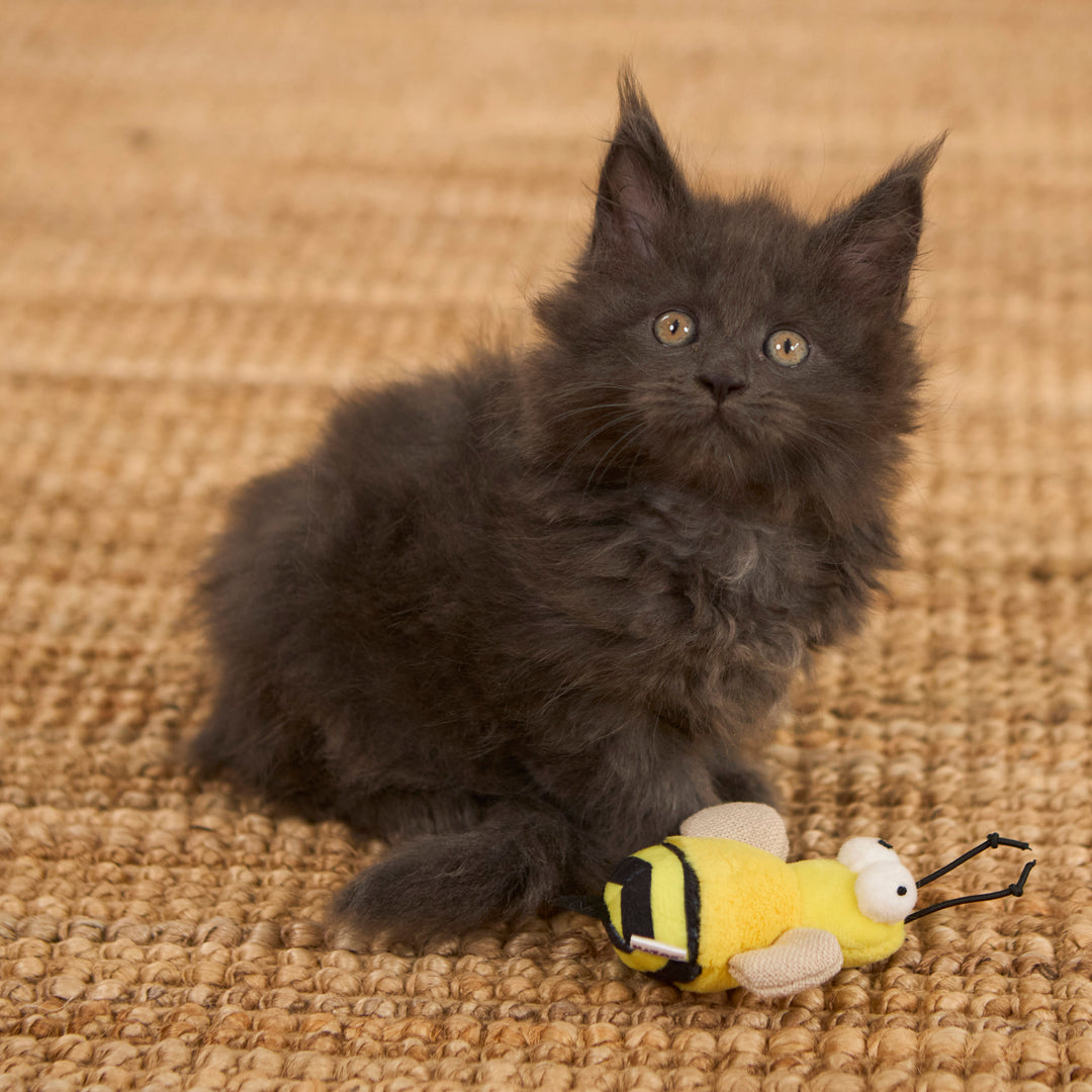 Noisy Busy Bee with sound chip and catnip