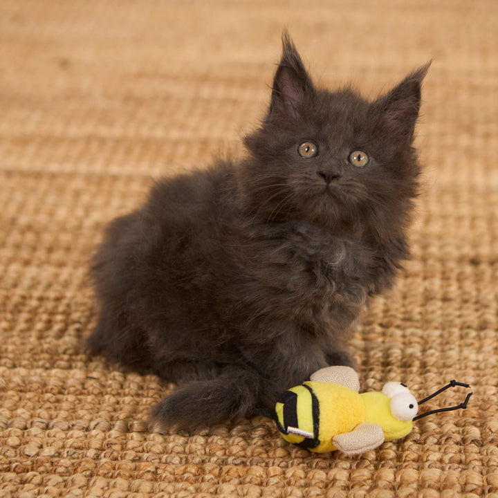 Noisy Busy Bee with sound chip and catnip