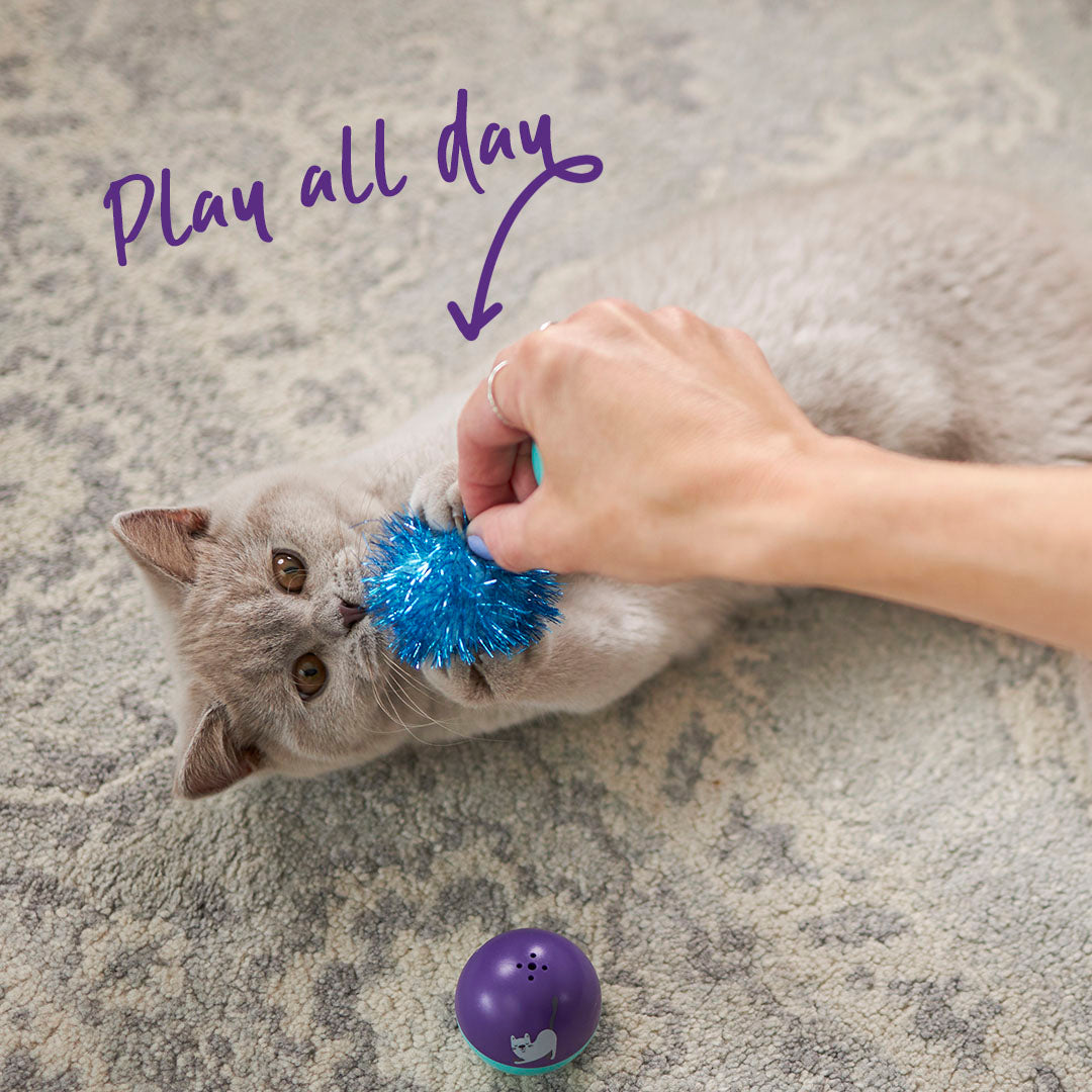 Cat Glitter Pom Pom Balls