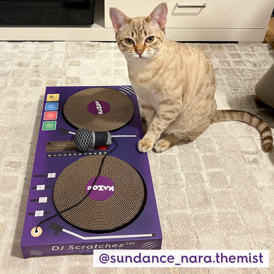 DJ Scratchez Cardboard Cat Scratcher