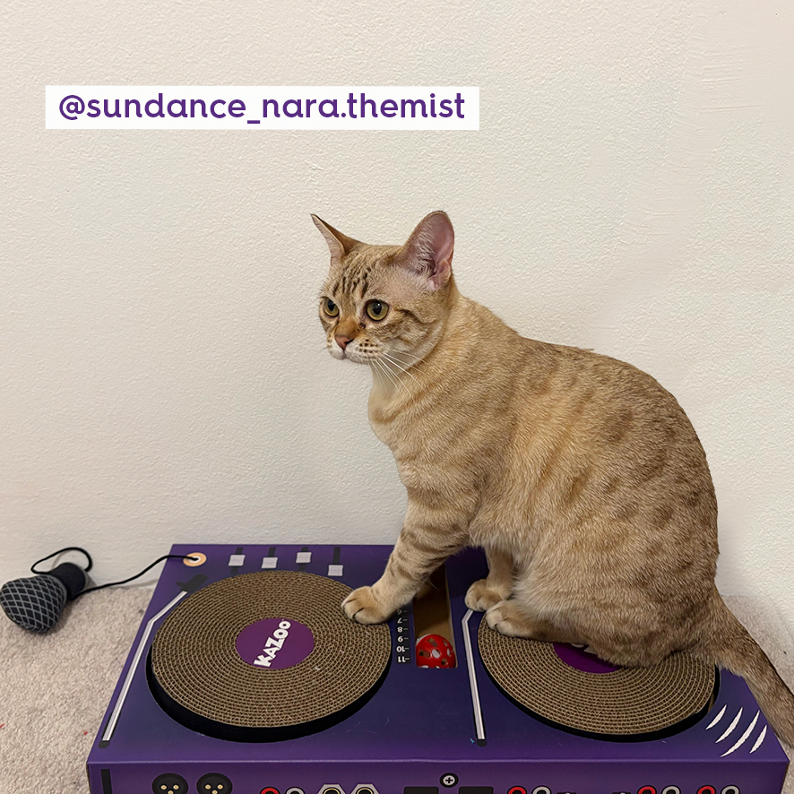 DJ Scratchez Cardboard Cat Scratcher