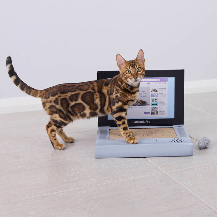 Catbook Pro - Cardboard Cat Laptop