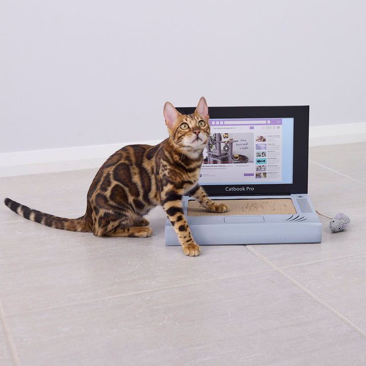 Catbook Pro - Cardboard Cat Laptop