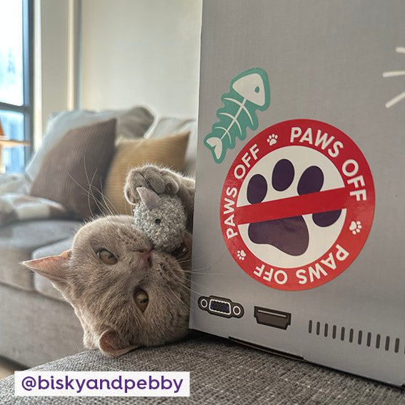 Catbook Pro - Cardboard Cat Laptop