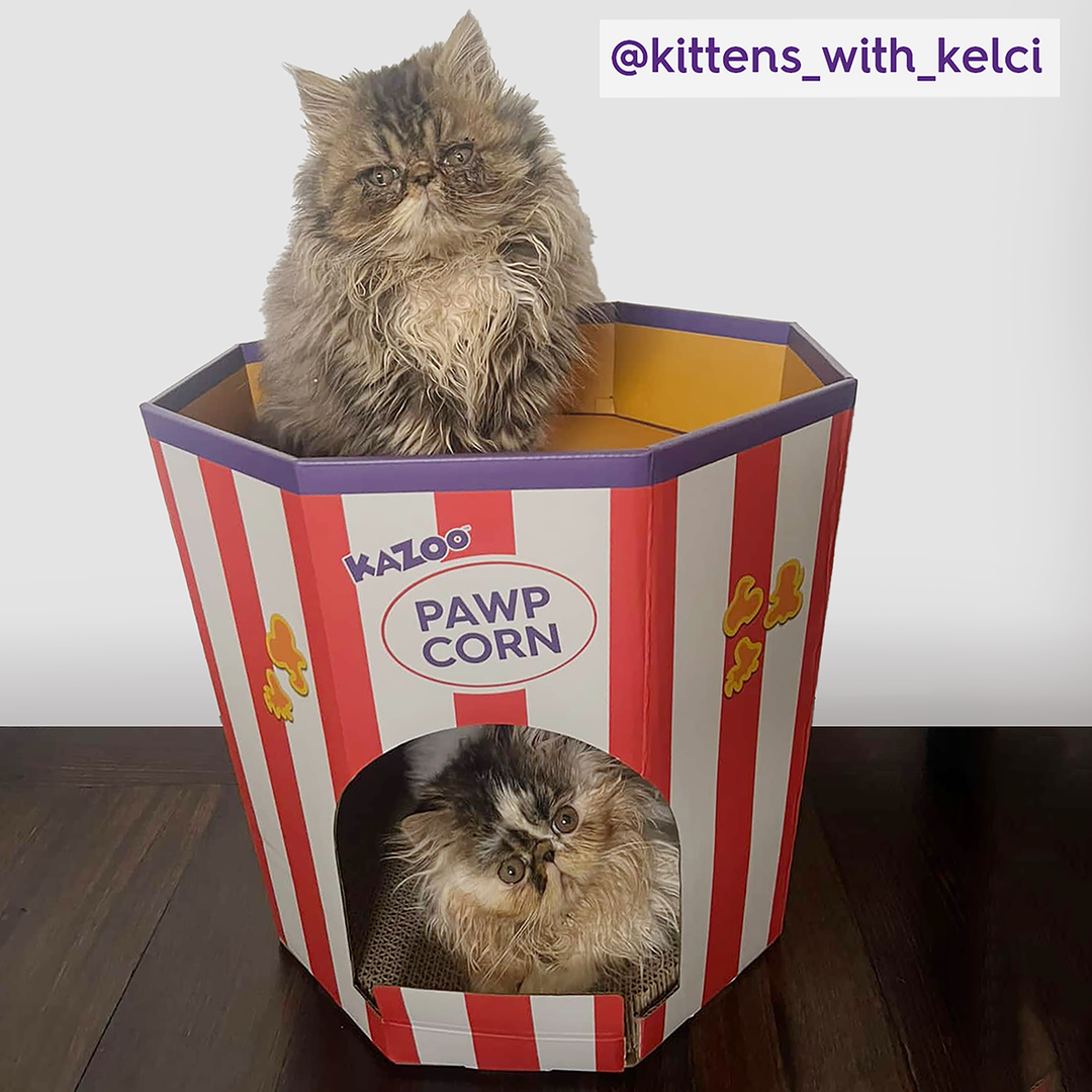 Kitty Popcorn Cardboard House
