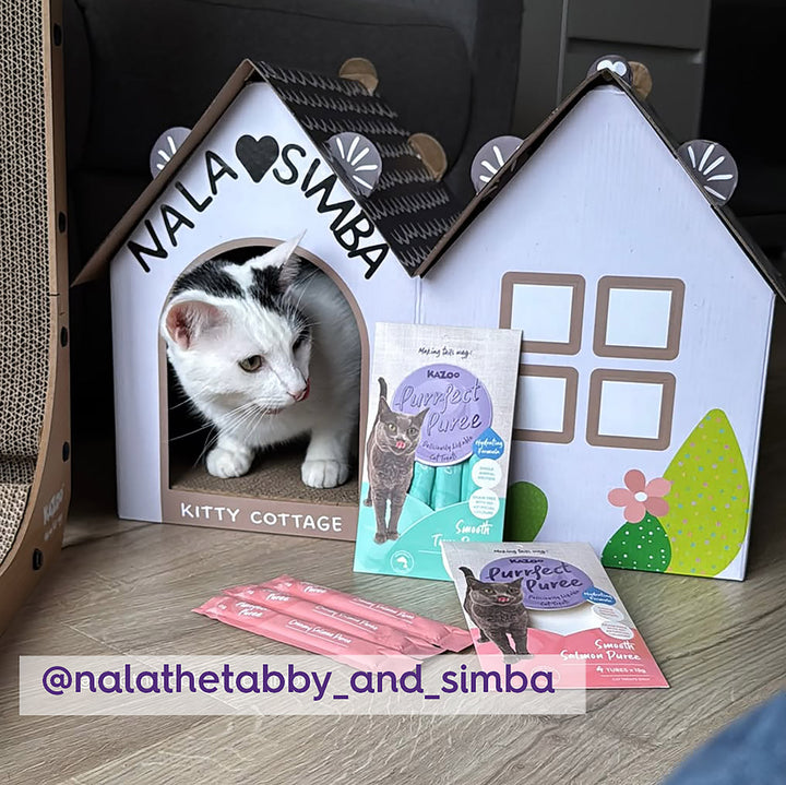 Cat Cottage Cardboard House