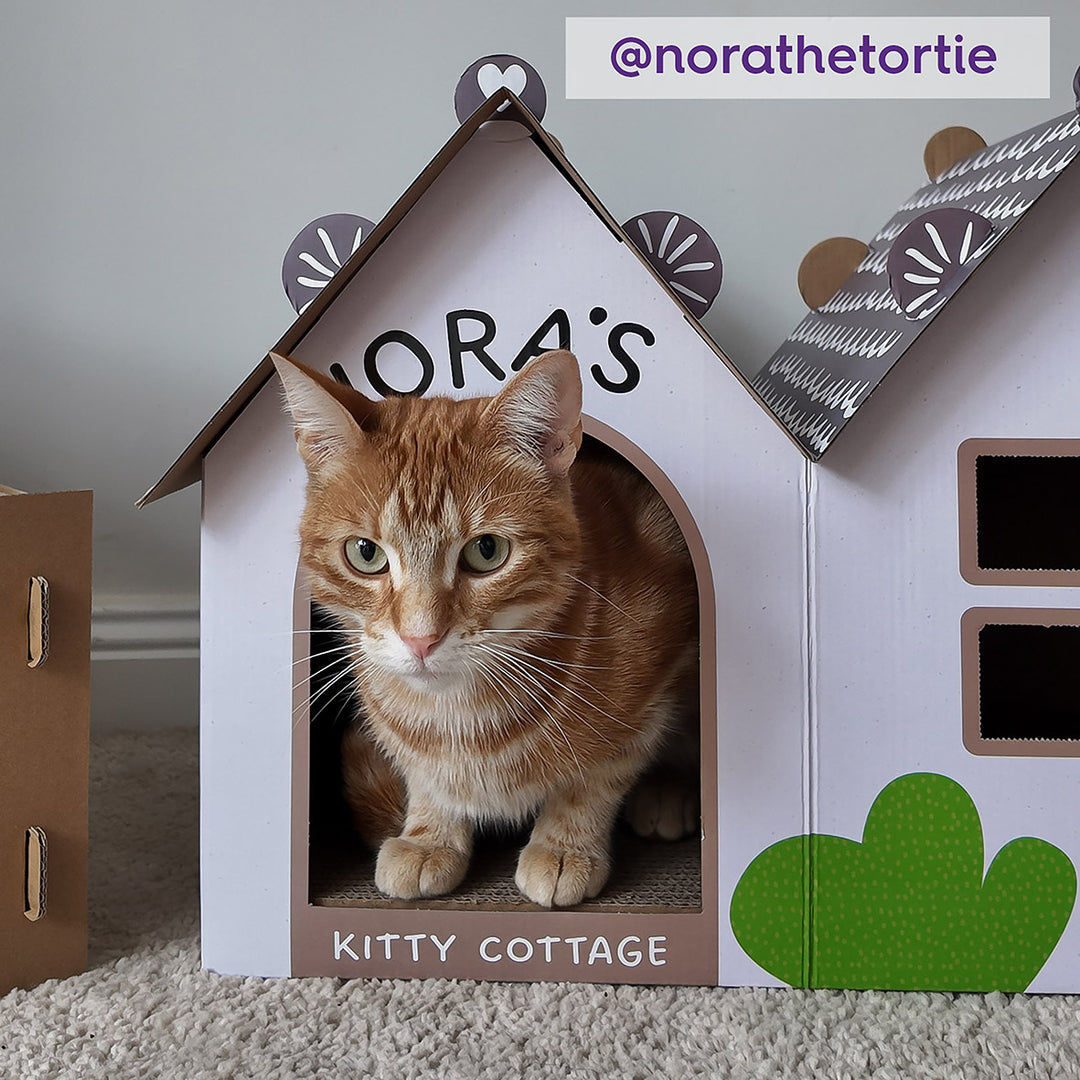 Cat Cottage Cardboard House