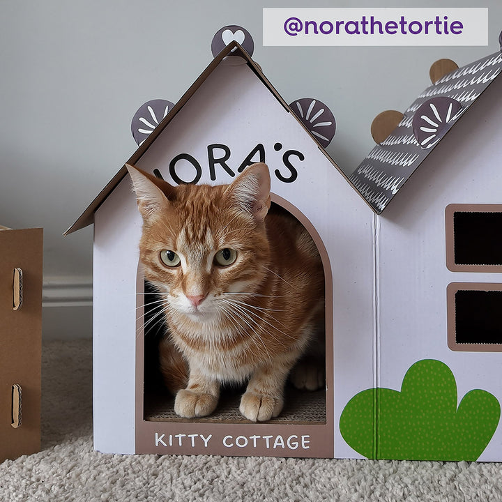 Cat Cottage Cardboard House