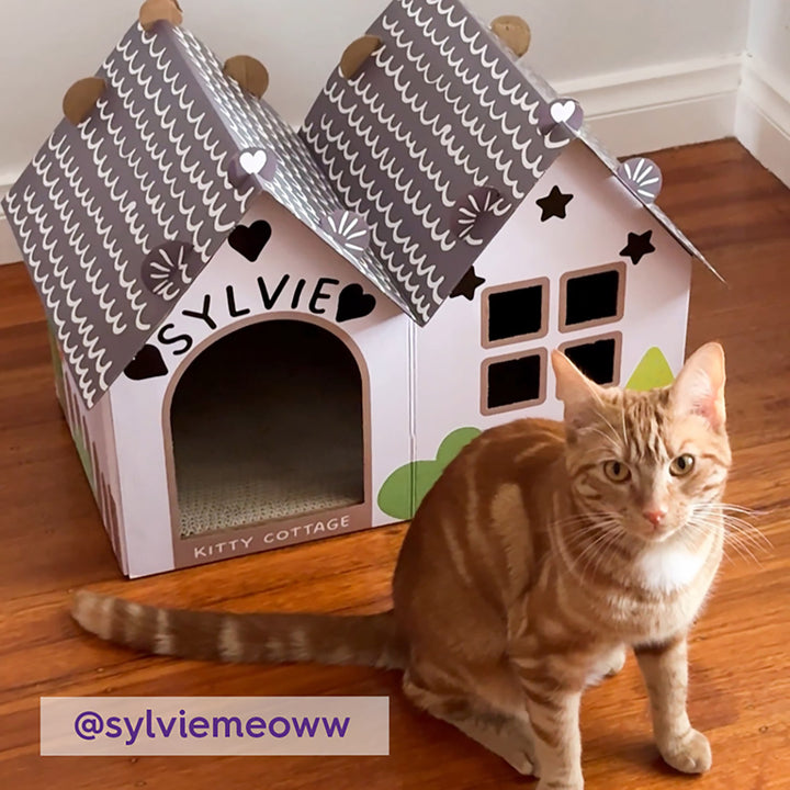 Cat Cottage Cardboard House