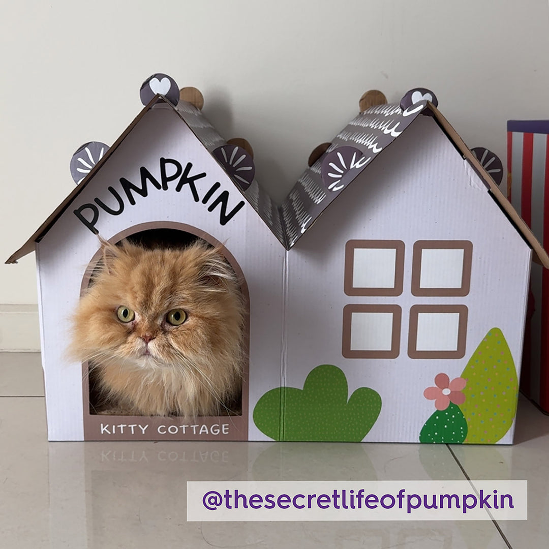 Cat Cottage Cardboard House