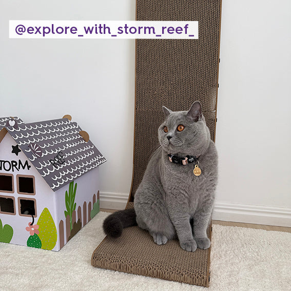 Wall & Ball Vertical Cat Scratch Pad